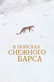 В поисках снежного барса