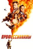 Профессионалы