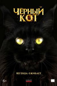 Черный кот