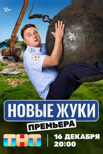 Жуки