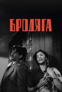 Бродяга