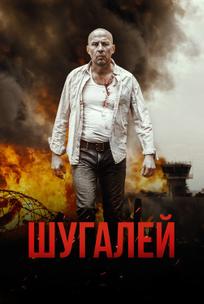 Шугалей