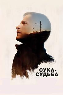 Сука-судьба