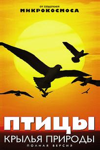 Птицы: Крылья природы