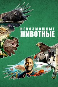 Невозможные животные