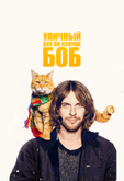 Уличный кот по кличке Боб