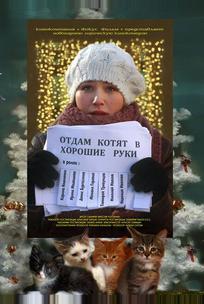 Отдам котят в хорошие руки